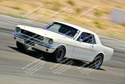 media/May-10-2025-Cobra Club (Sat) [[7b9c5022b1]]/Passenger/